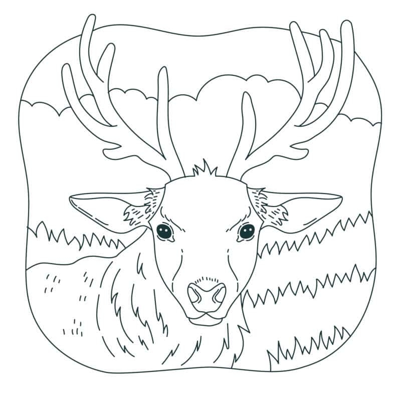 10 Free Deer Pyrography Patterns For Wood Burning In 2025