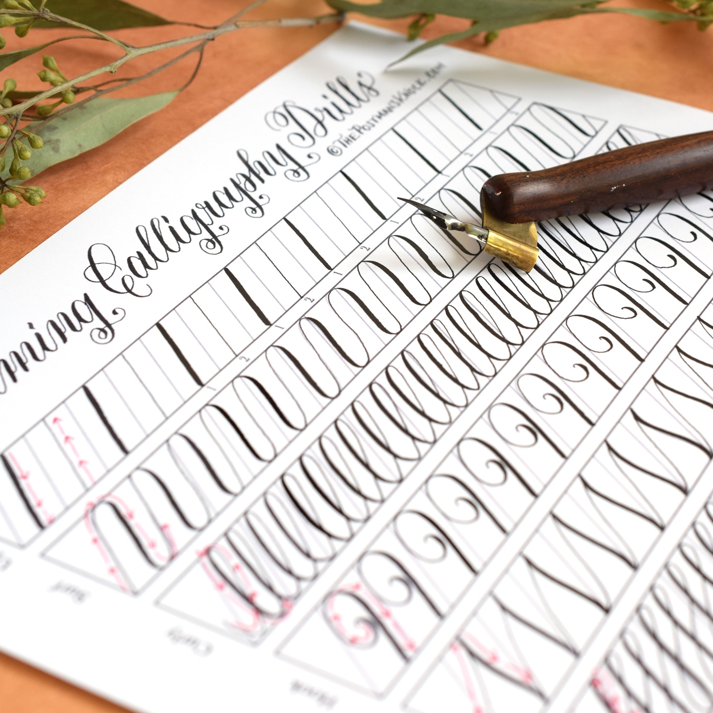 Calligraphy Practice Sheets Printable Free