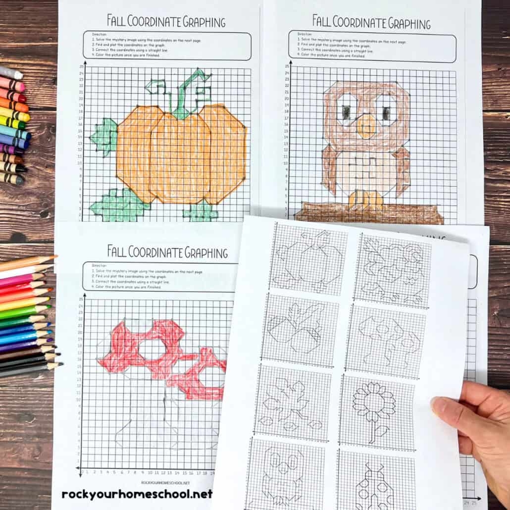 Free Printable Coordinate Graphing Worksheets
