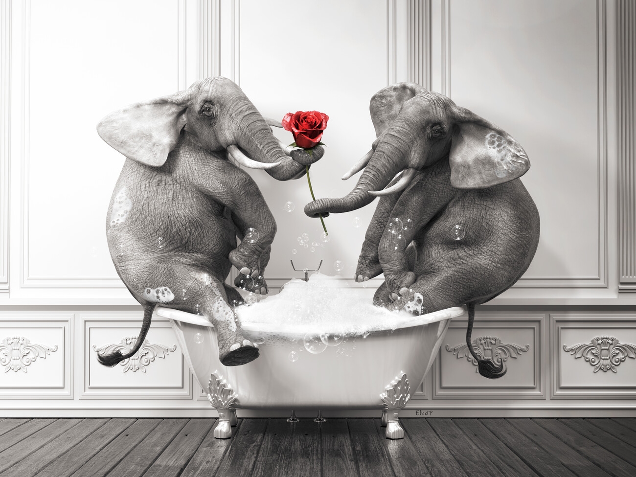Kunstdruck Elephant In Tub Printable Wall Art Elephant Photo Poster Wandbilder Und Tapeten Europosters
