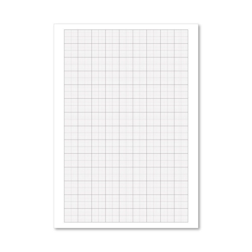 Loose Leaf Graph Paper A4 500 Pack 100103410