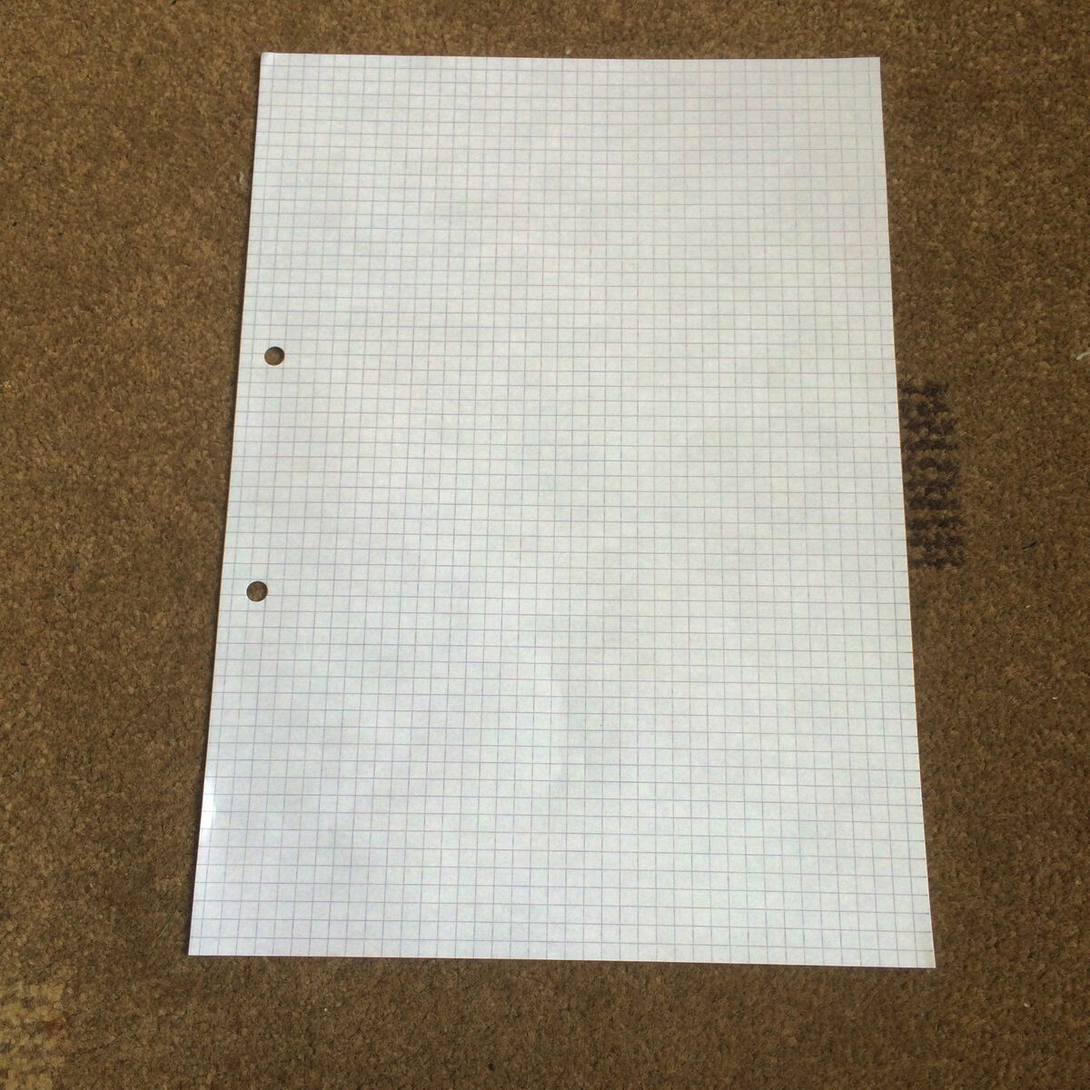 A4 Graph Paper 5MM Squares 30 Loose Sheets Double Sided 2 Holes Punched EBay
