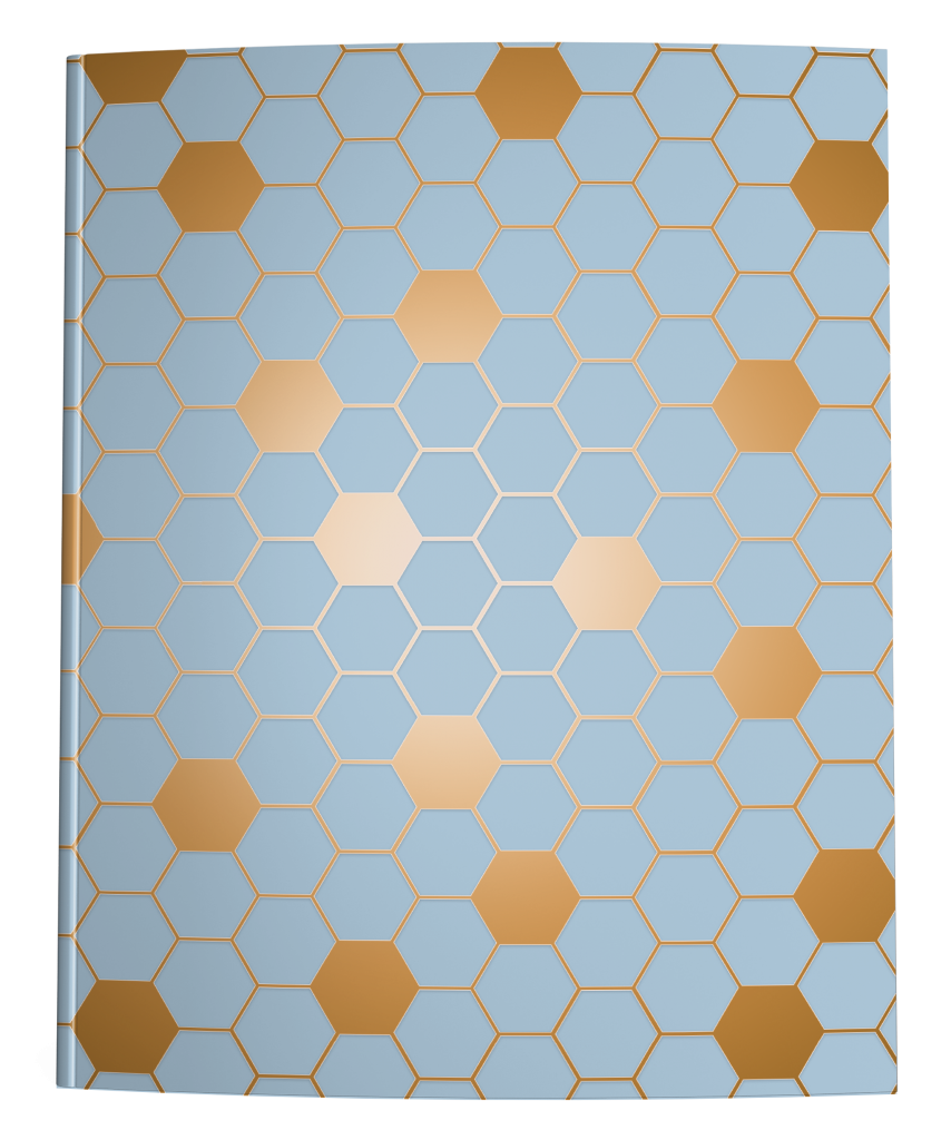 Hexagon Graph Paper Notebook Blue Brown Squidmore Company Stationery