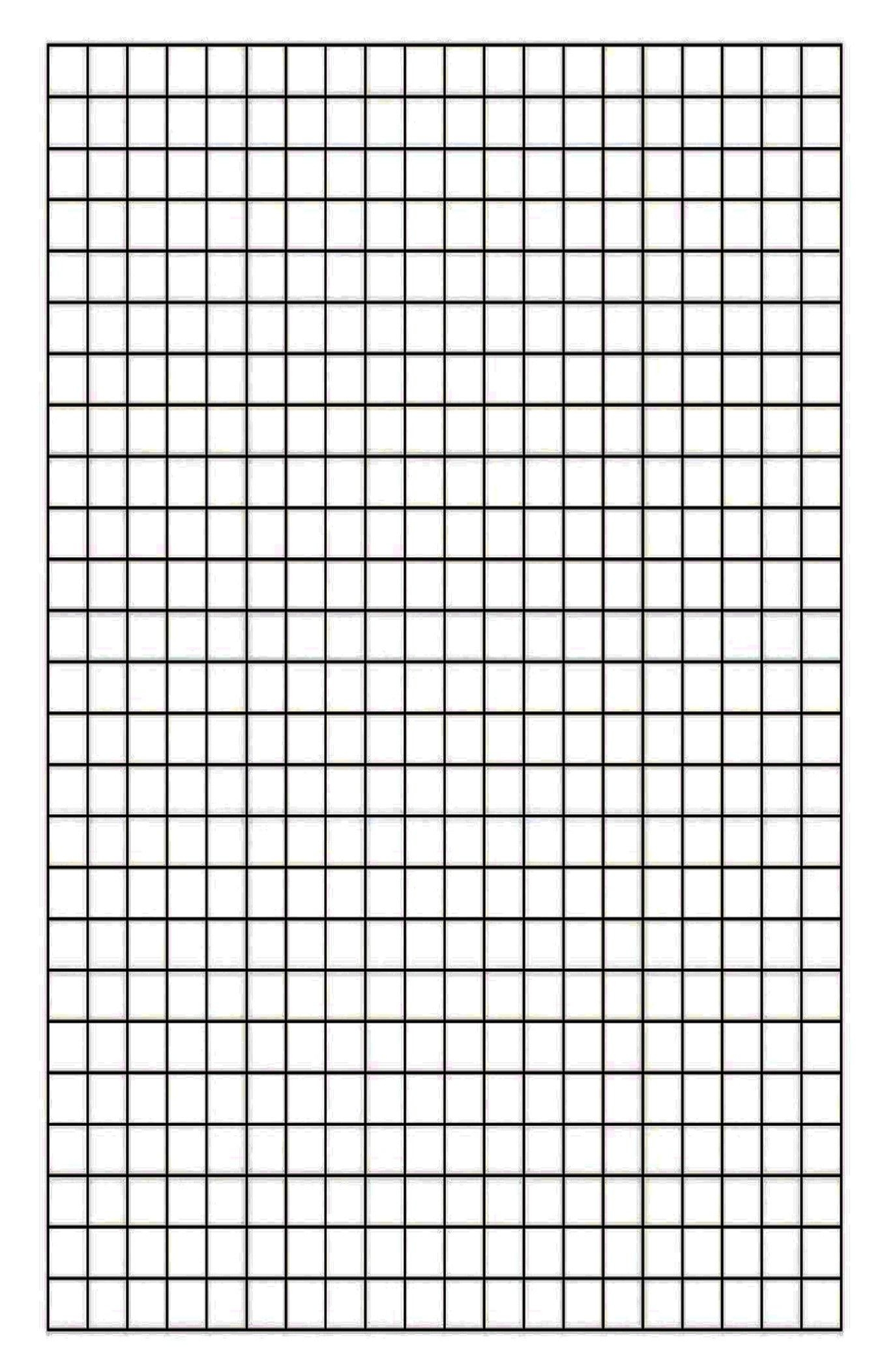Printable Full Page Graph Paper PDF
