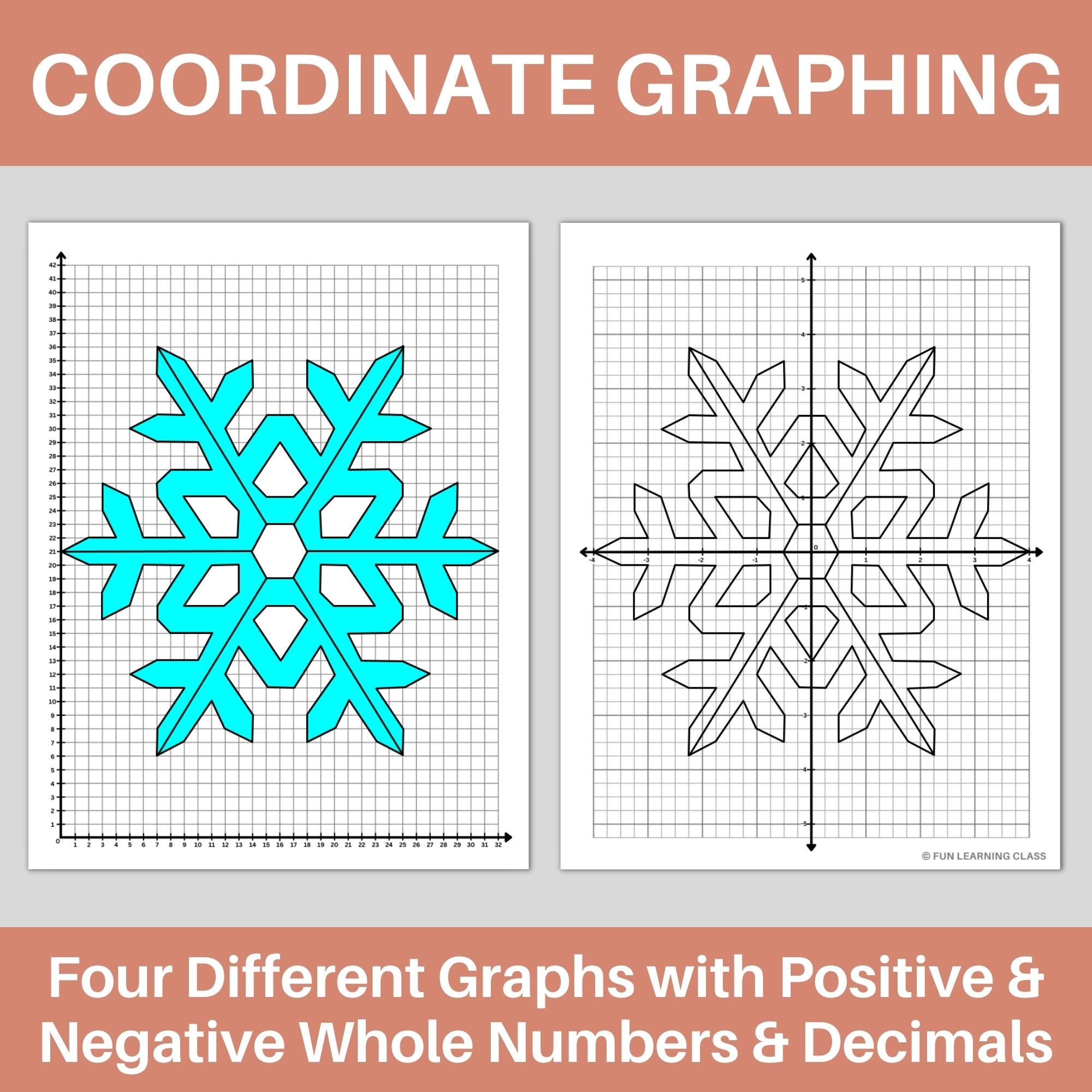 Winter Snowflake Coordinate Graphing Plotting Points Ordered Pairs Mystery Picture Made By Teachers